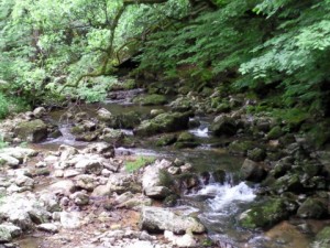 Blockadenlösung, der Stein, der ins Rollen kommt